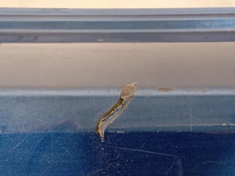 Paraurti POST 7E0807421B 7N0807417B Volkswagen Sharan IV 2010