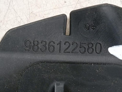 Convogliatore ARIA Radiatore INF ANT SX