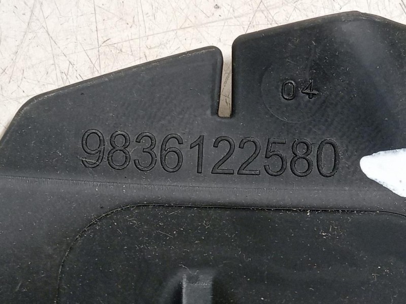 Convogliatore ARIA Radiatore INF ANT SX 9836122580 Citroen C3 III 2016