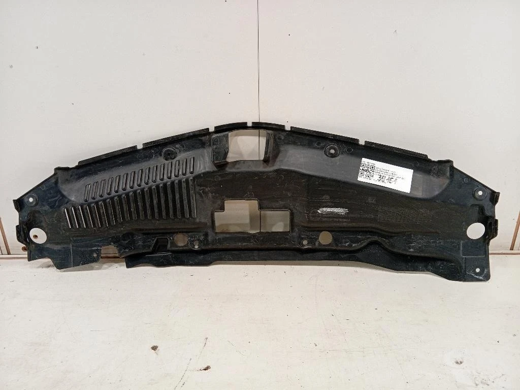 Copertura Interna Griglia Radiatore ANT 95079808 Opel Mokka 2013