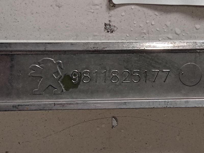 Copertura Interna Griglia Radiatore ANT 9811825177 Peugeot 308 II 2017