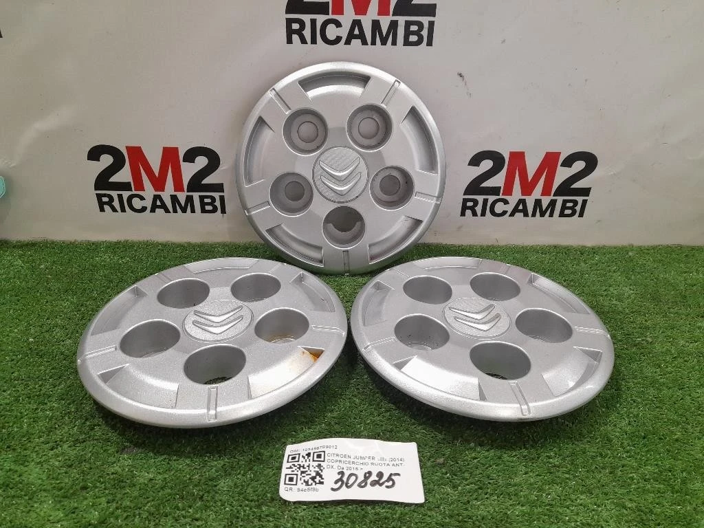Copricerchio Ruota ANT DX 123456789012 Citroen Jumper III 2014
