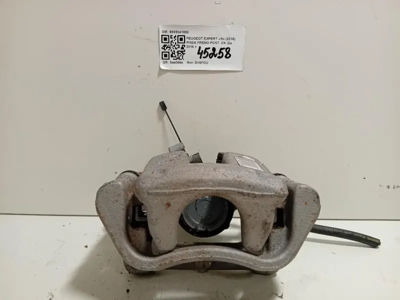 Pinza Freno POST DX 9805341880 Peugeot Expert III 2016