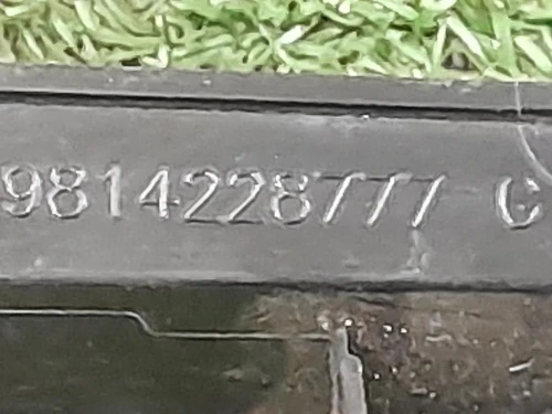 Modanatura Adesiva Porta ANT SX 9814228777 Peugeot 3008 II 2020