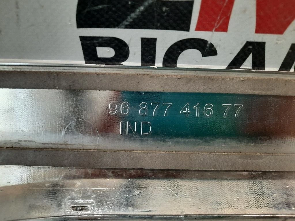 Modanatura Paracolpi Porta ANT SX 9687741677 Citroen DS3 2010