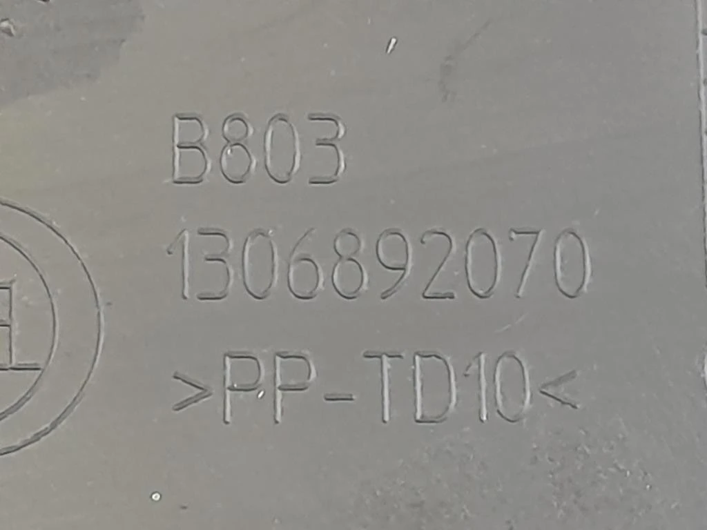 Modanatura Paracolpi Porta INF ANT SX 1306892070 Citroen Jumper III 2014