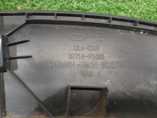 Modanatura Parafango ANT DX