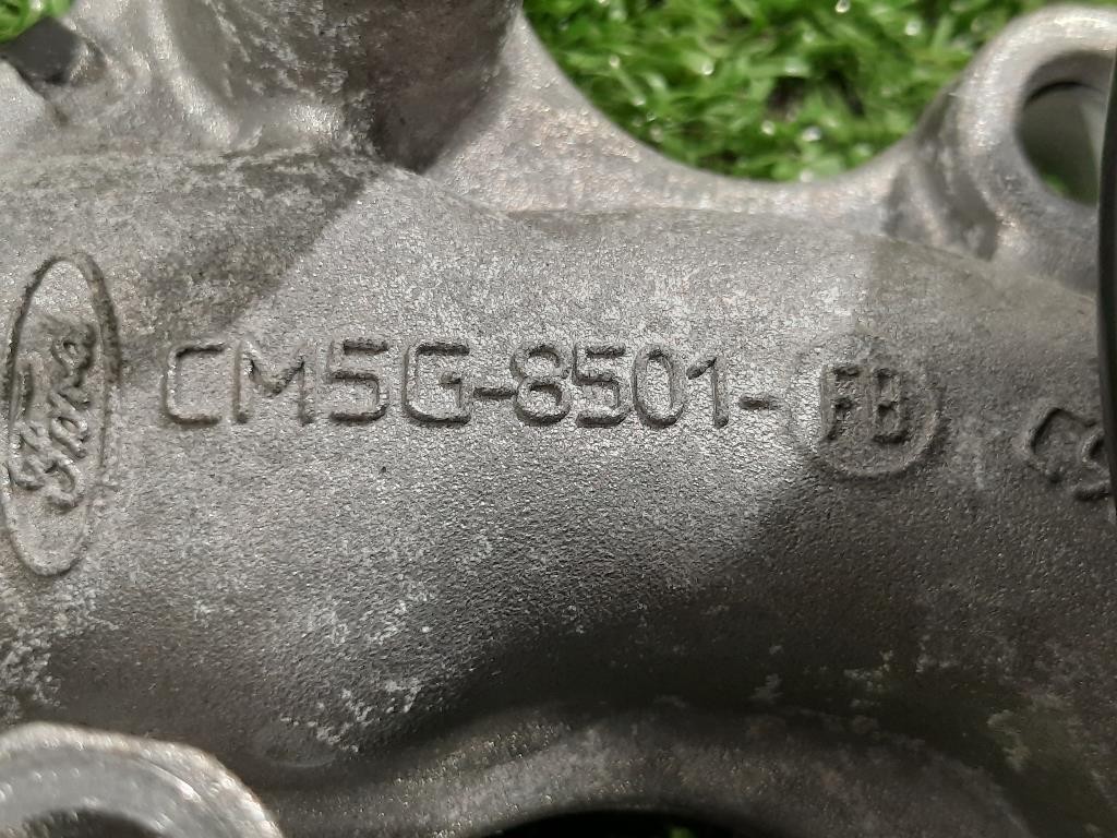 Pompa Acqua CM5G-8501-FB Ford Fiesta VII 2017