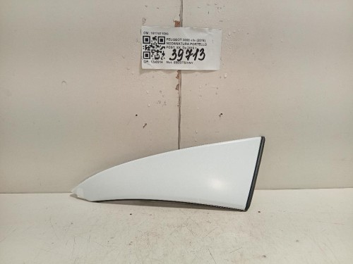 Modanatura Portello POST SX