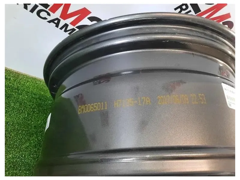 Cerchio Ruota ANT SX 36118071996 Bmw X5 G05 2018