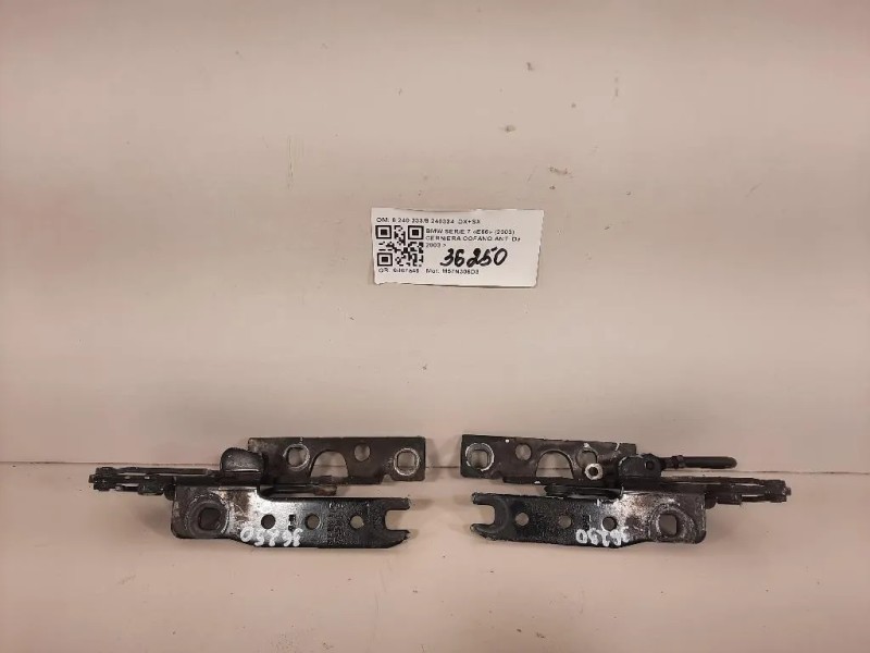 Cerniera Cofano ANT 8 240 3338 240334 DX+SX Bmw Serie 7 E66 2003