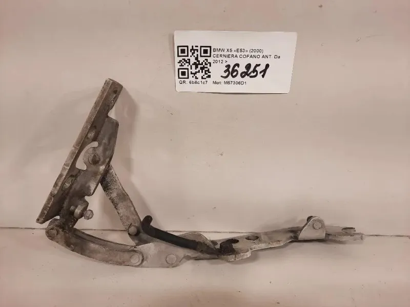 Cerniera Cofano ANT Bmw X5 E53 2000
