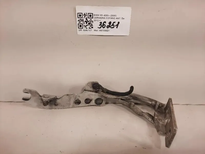 Cerniera Cofano ANT Bmw X5 E53 2000