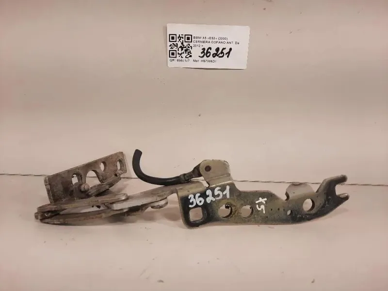 Cerniera Cofano ANT Bmw X5 E53 2000