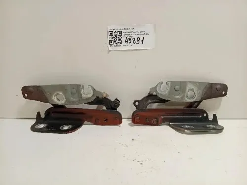 Cerniera Cofano ANT 8A61-16800-AC DX+SX Ford Fiesta VI 2008