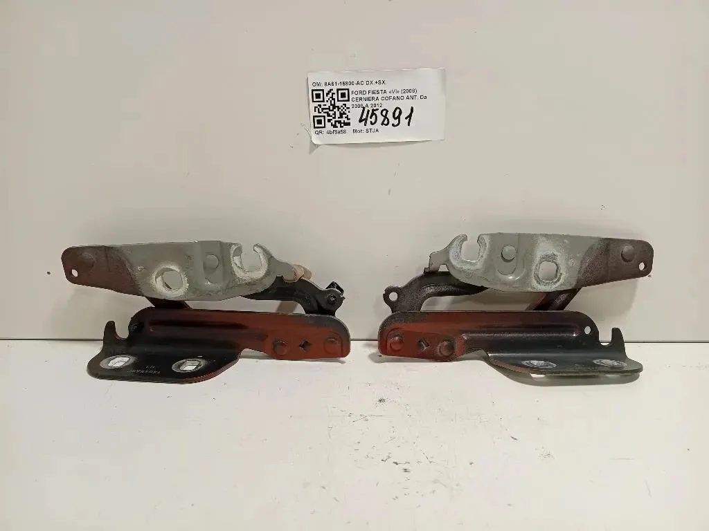 Cerniera Cofano ANT 8A61-16800-AC DX+SX Ford Fiesta VI 2008