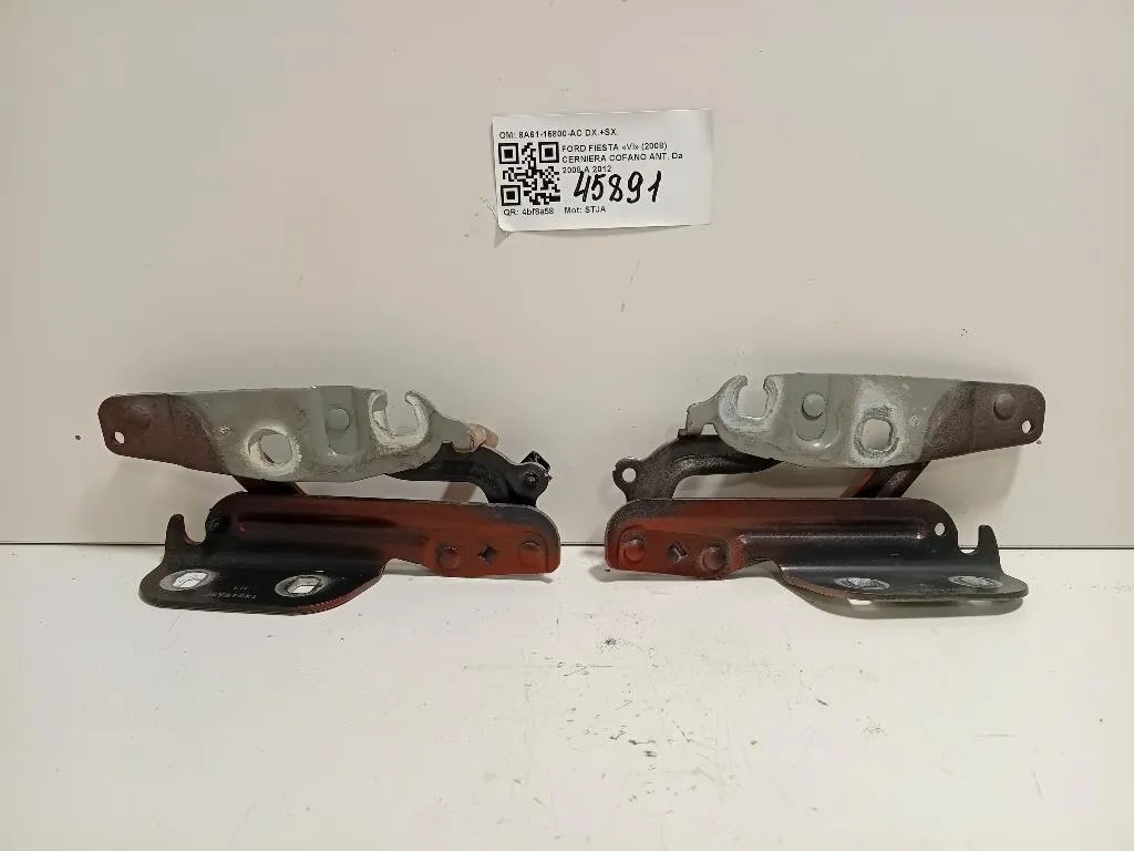 Cerniera Cofano ANT 8A61-16800-AC DX+SX Ford Fiesta VI 2008