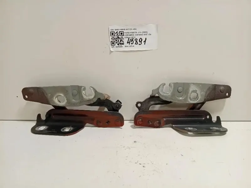 Cerniera Cofano ANT 8A61-16800-AC DX+SX Ford Fiesta VI 2008