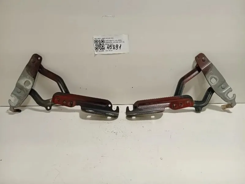 Cerniera Cofano ANT 8A61-16800-AC DX+SX Ford Fiesta VI 2008