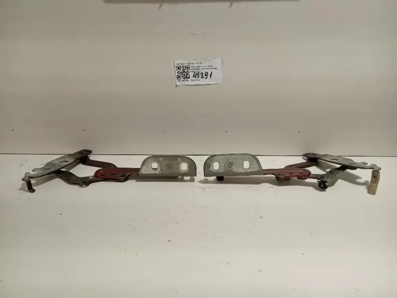 Cerniera Cofano ANT 8A61-16800-AC DX+SX Ford Fiesta VI 2008