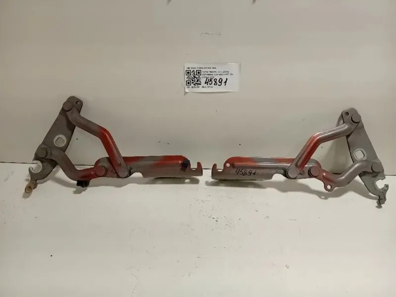 Cerniera Cofano ANT 8A61-16800-AC DX+SX Ford Fiesta VI 2008