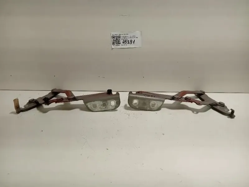 Cerniera Cofano ANT 8A61-16800-AC DX+SX Ford Fiesta VI 2008