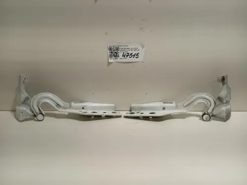 Cerniera Cofano ANT AB39-16801AA DX+SX Ford Ranger IV 2012