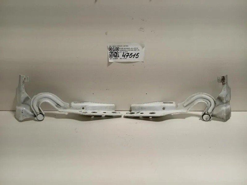 Cerniera Cofano ANT AB39-16801AA DX+SX Ford Ranger IV 2012