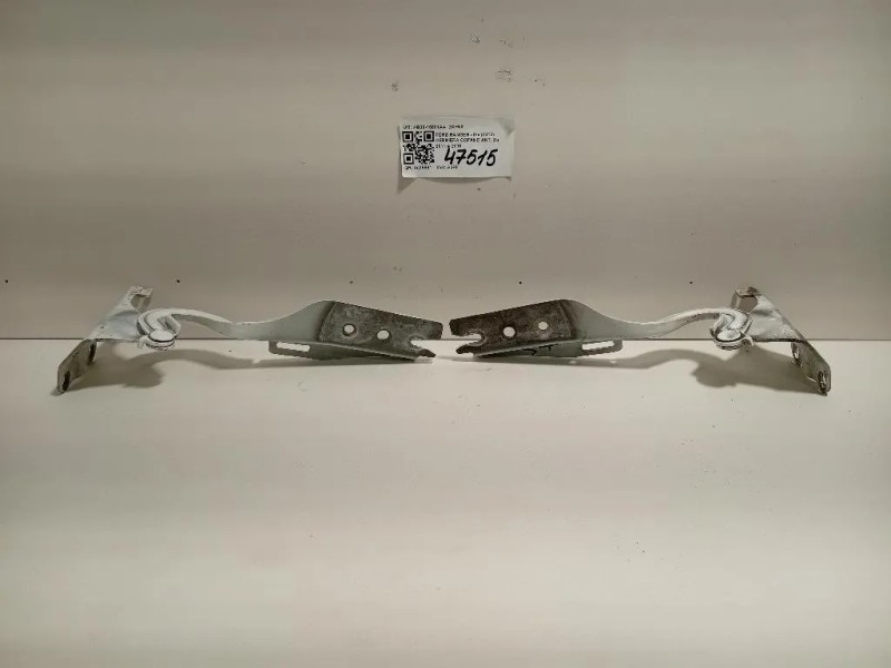 Cerniera Cofano ANT AB39-16801AA DX+SX Ford Ranger IV 2012