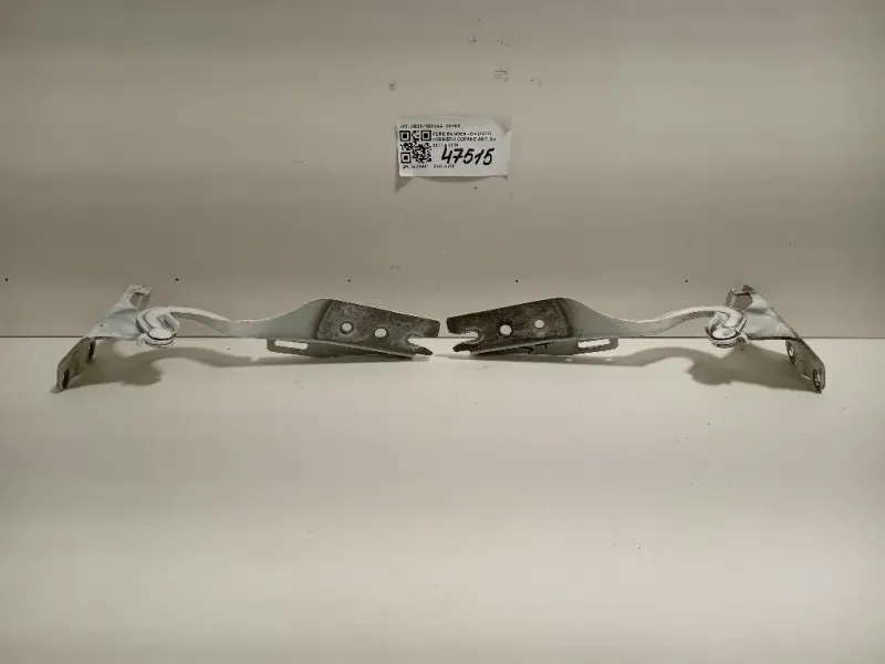 Cerniera Cofano ANT AB39-16801AA DX+SX Ford Ranger IV 2012