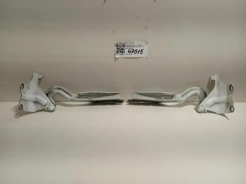 Cerniera Cofano ANT AB39-16801AA DX+SX Ford Ranger IV 2012