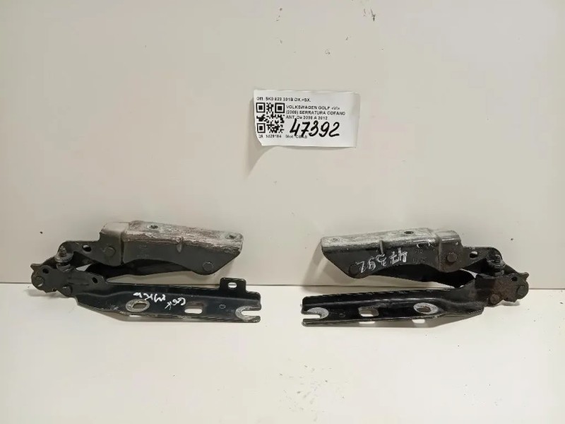 Cerniera Cofano ANT 5K0 823 301B DX+SX Volkswagen GOLF VI 2009