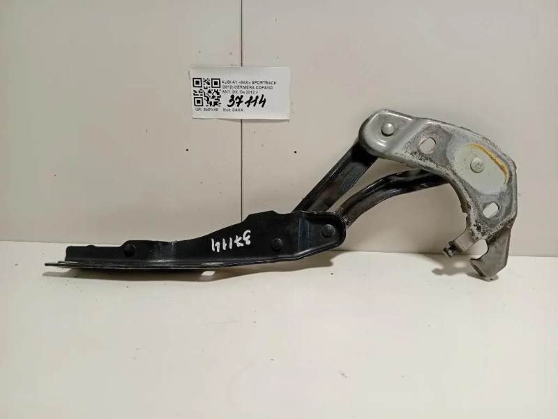 Cerniera Cofano ANT DX  Audi A1 8XA Sportback 2012