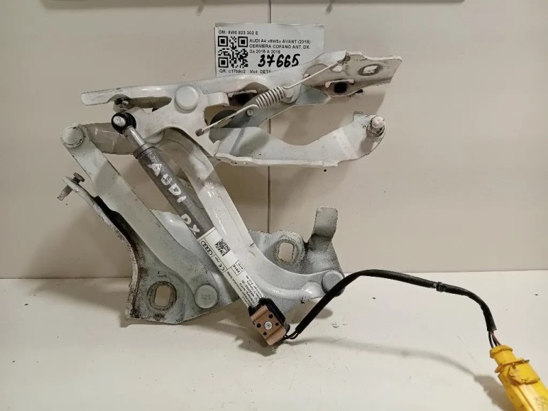 Cerniera Cofano ANT DX 8W0 823 302 E Audi A4 8W5 Avant 2015