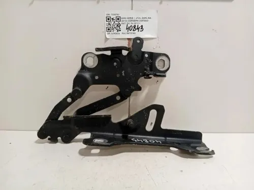 Cerniera Cofano ANT DX 7336700 Bmw Serie 1 F20 Berlina 2012
