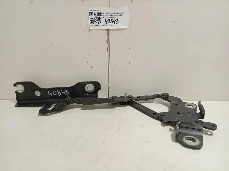 Cerniera Cofano ANT DX 7336700 Bmw Serie 1 F20 Berlina 2012