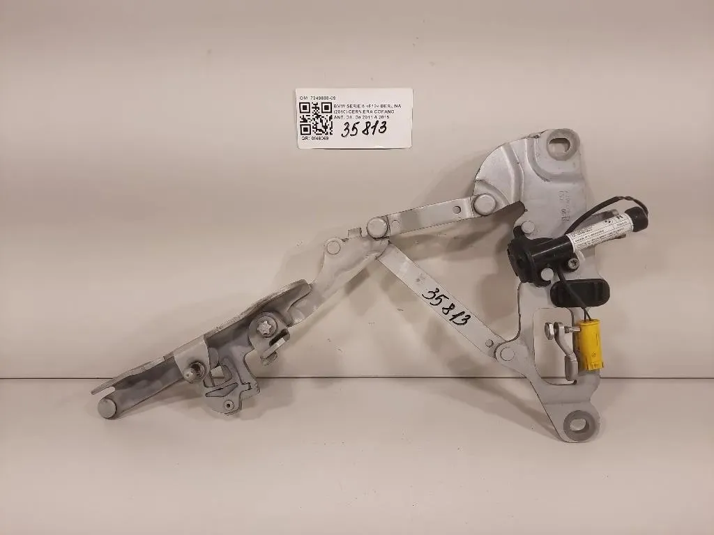 Cerniera Cofano ANT DX 7249888-09 Bmw Serie 5 F10 Berlina 2010