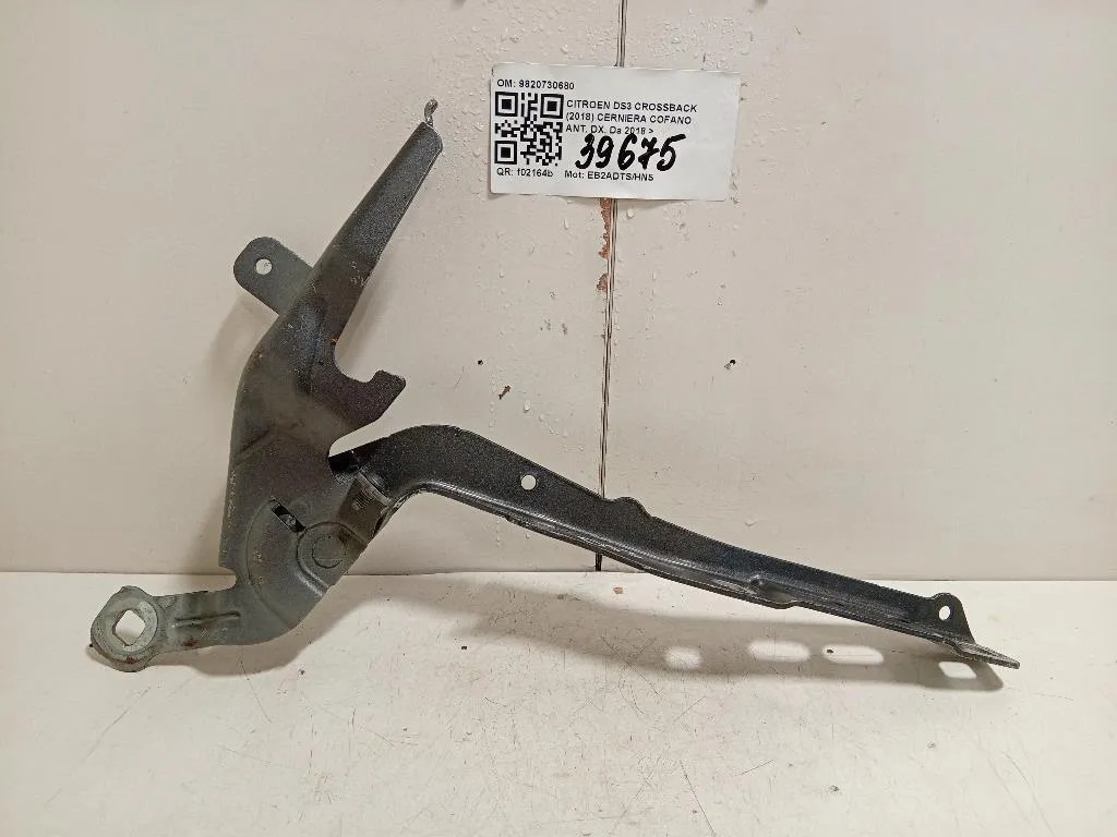 Cerniera Cofano ANT DX 9820730680 Citroen DS3 Crossback 2018