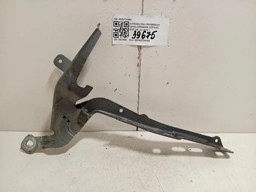 Cerniera Cofano ANT DX 9820730680 Citroen DS3 Crossback 2018