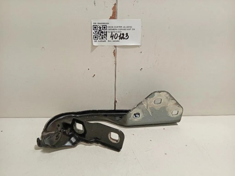 Cerniera Cofano ANT DX 654006928R Dacia Duster II 2018