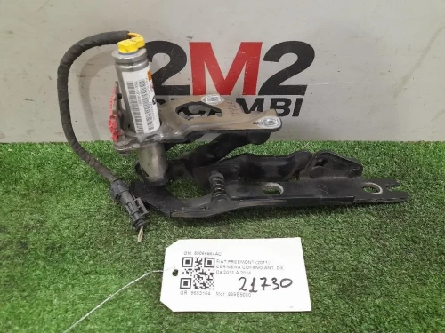 Cerniera Cofano ANT DX 68066584AC Fiat Freemont 2011