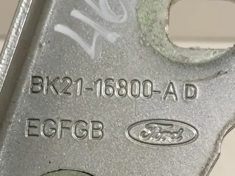 Cerniera Cofano ANT DX BK21-16800-AD Ford Transit Custom I 2013