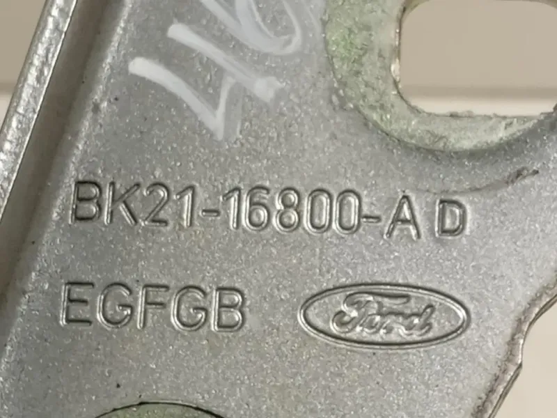 Cerniera Cofano ANT DX BK21-16800-AD Ford Transit Custom I 2013