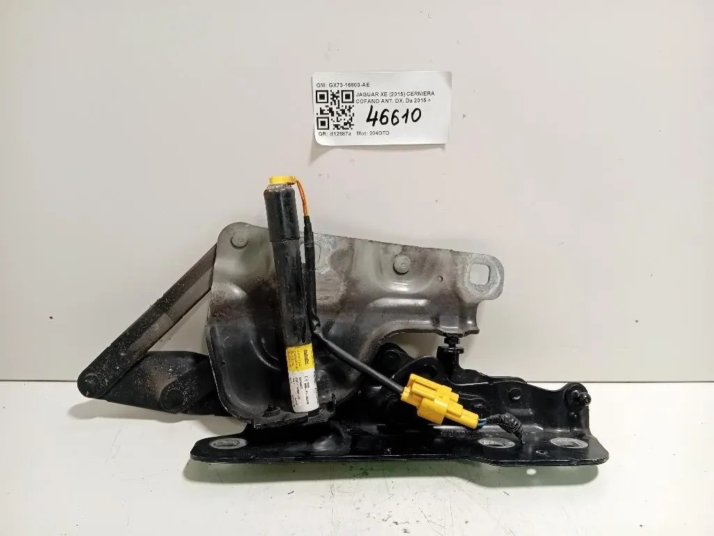 Cerniera Cofano ANT DX GX73-16800-AE Jaguar XE 2015