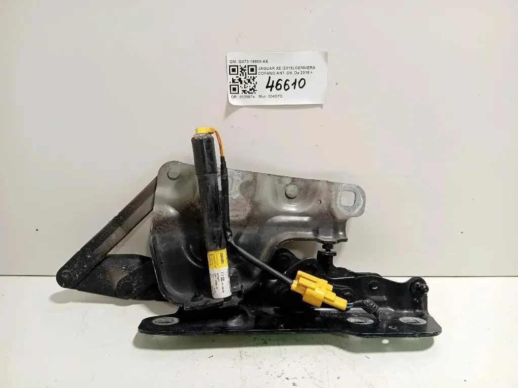 Cerniera Cofano ANT DX GX73-16800-AE Jaguar XE 2015