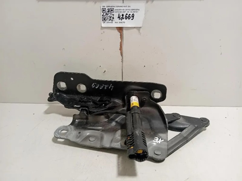 Cerniera Cofano ANT DX CERNIERA COFANO ANT DX Jaguar XE 2015