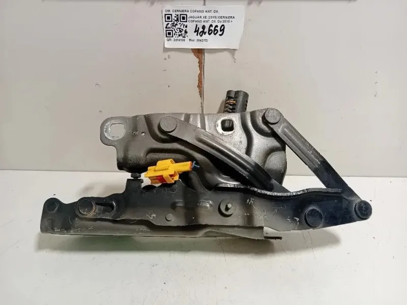 Cerniera Cofano ANT DX CERNIERA COFANO ANT DX Jaguar XE 2015