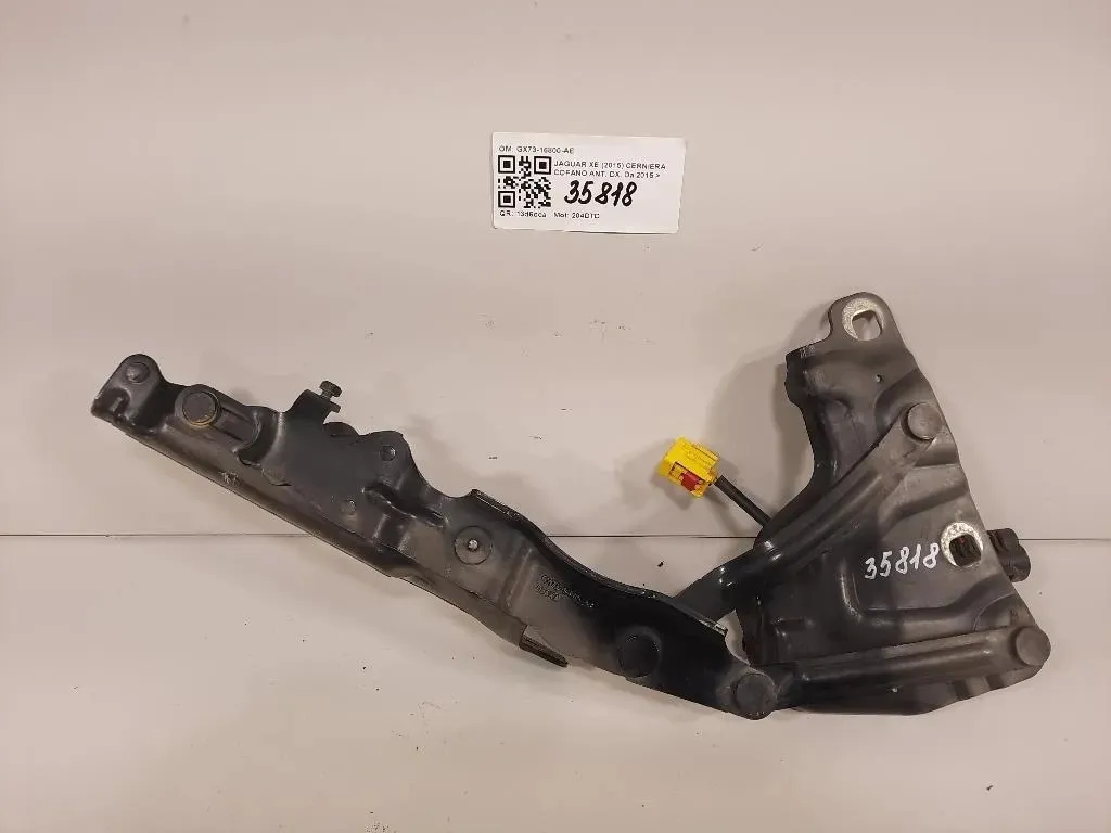 Cerniera Cofano ANT DX GX73-16800-AE Jaguar XE 2015