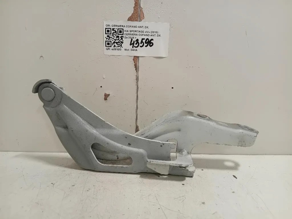 Cerniera Cofano ANT DX CERNIERA COFANO ANT DX Kia Sportage IV 2018