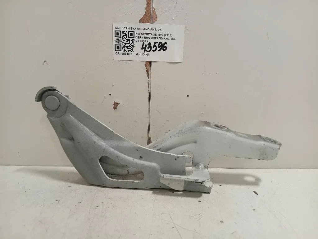 Cerniera Cofano ANT DX CERNIERA COFANO ANT DX Kia Sportage IV 2018